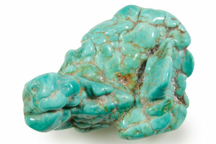 Polished Chilean Turquoise ( grams) Nugget #373194